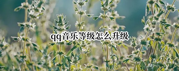 qq音乐等级怎么升级