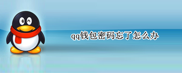 qq钱包密码忘了怎么办
