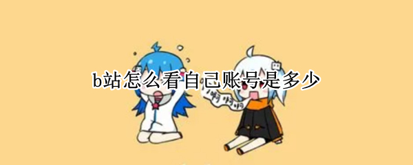 b站怎么看自己账号是多少