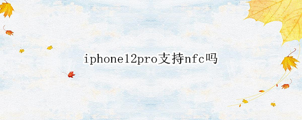 iphone12pro支持nfc吗