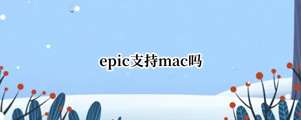 epic支持mac吗