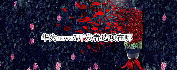 华为nova7开发者选项在哪