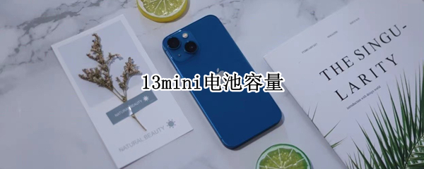 13mini电池容量