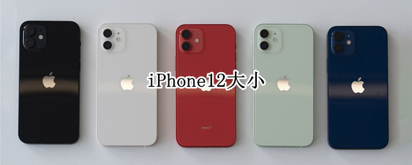 iPhone12大小