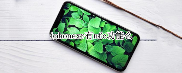 iphonexr有nfc功能么