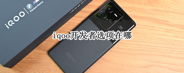 iqoo开发者选项在哪