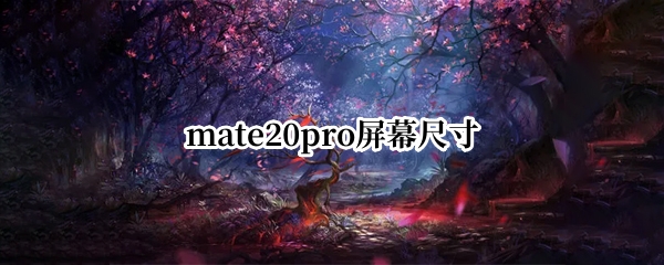 mate20pro屏幕尺寸