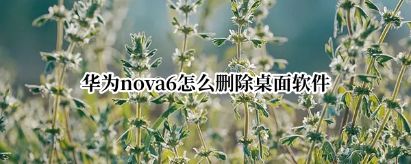 华为nova6怎么删除桌面软件