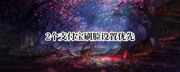 2个支付宝刷脸设置优先