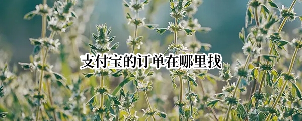 支付宝的订单在哪里找