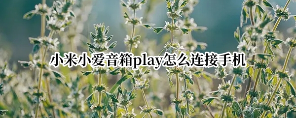 小米小爱音箱play怎么连接手机