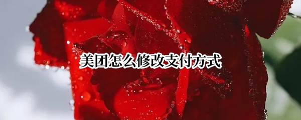 美团怎么修改支付方式