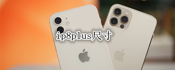 ip8plus尺寸