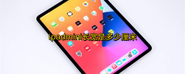 ipadmini长宽是多少厘米