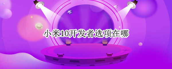 小米10开发者选项在哪