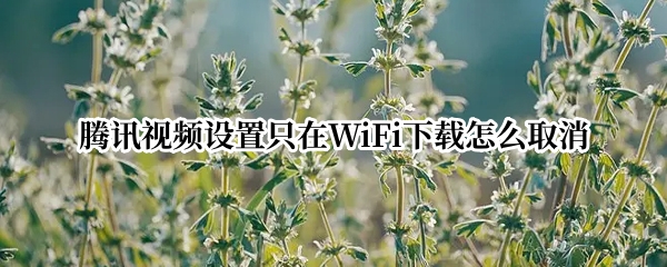腾讯视频设置只在WiFi下载怎么取消