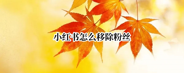 小红书怎么移除粉丝