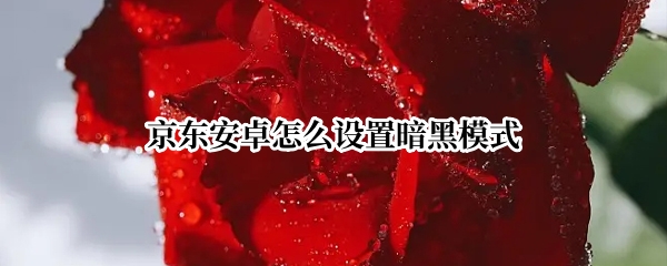 京东安卓怎么设置暗黑模式
