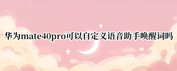 华为mate40pro可以自定义语音助手唤醒词吗