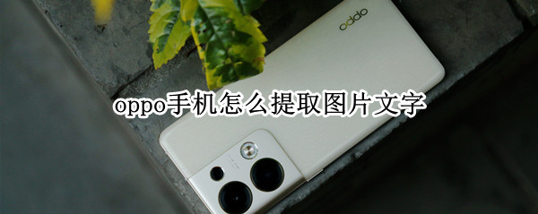 oppo手机怎么提取图片文字
