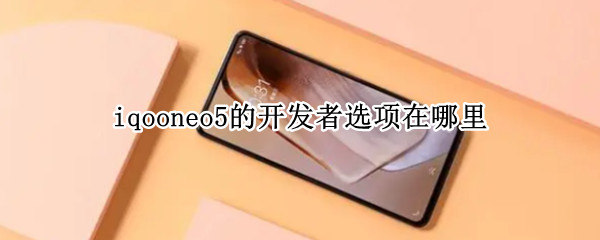 iqooneo5的开发者选项在哪里