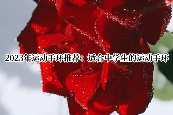 2023年运动手环推荐：适合中学生的运动手环